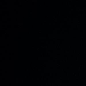 Meet your Posher, Brody